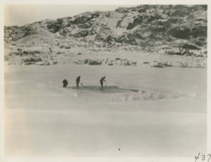 Image of Cutting ice from pond
